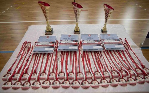 Puchary, dyplomy oraz medale