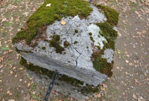 Remont konserwatorski cmentarza wojennego w Dębnie