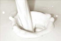 Uwaga na nadprodukcję mleka JAK UNIKNĄĆ KAR?